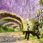 TheShy逆转再成焦点(theshy逆转再成为焦点)